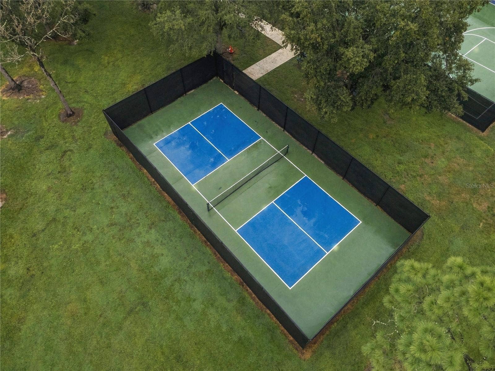 11117 ANCIENT FUTURES DRIVE, Tampa, FL 33647