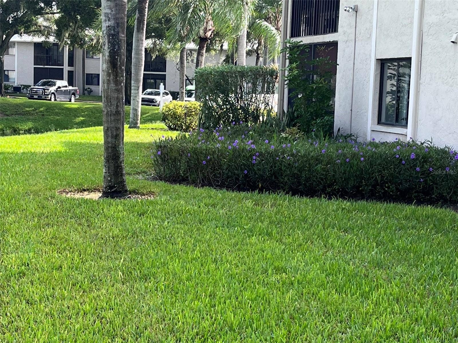 2050 HUNTERS GLEN DRIVE, #614, Dunedin, FL 34698