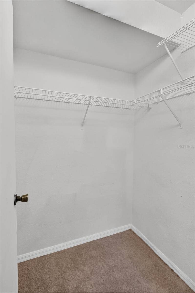 8513 ISLAND BREEZE LANE, #207, Temple Terrace, FL 33637 8513 ISLAND BREEZE LANE, #207, Temple Terrace, FL 33637