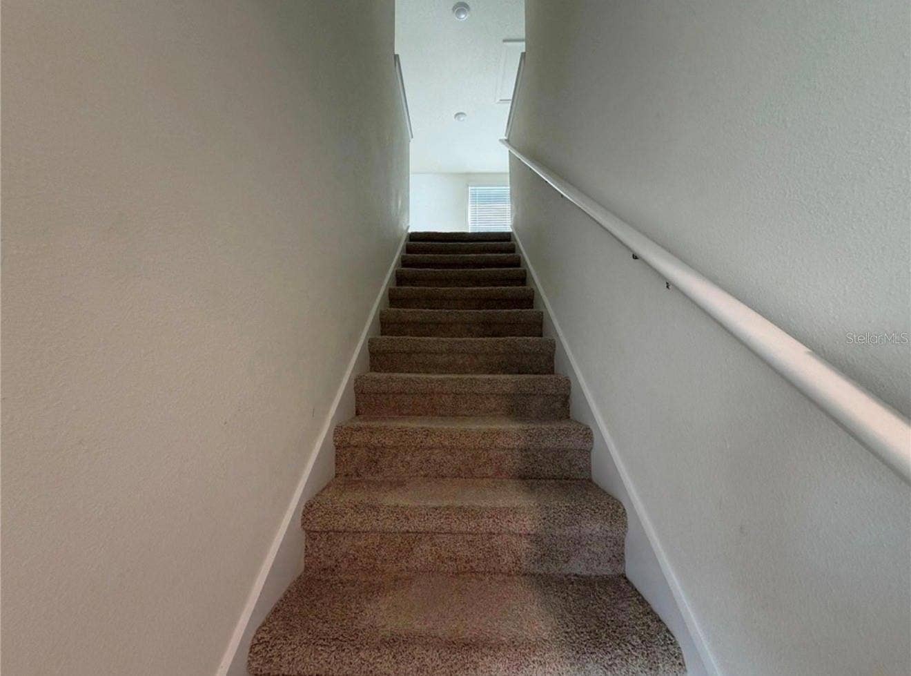 12072 DOWNY BIRCH DRIVE, Riverview, FL 33569 12072 DOWNY BIRCH DRIVE, Riverview, FL 33569