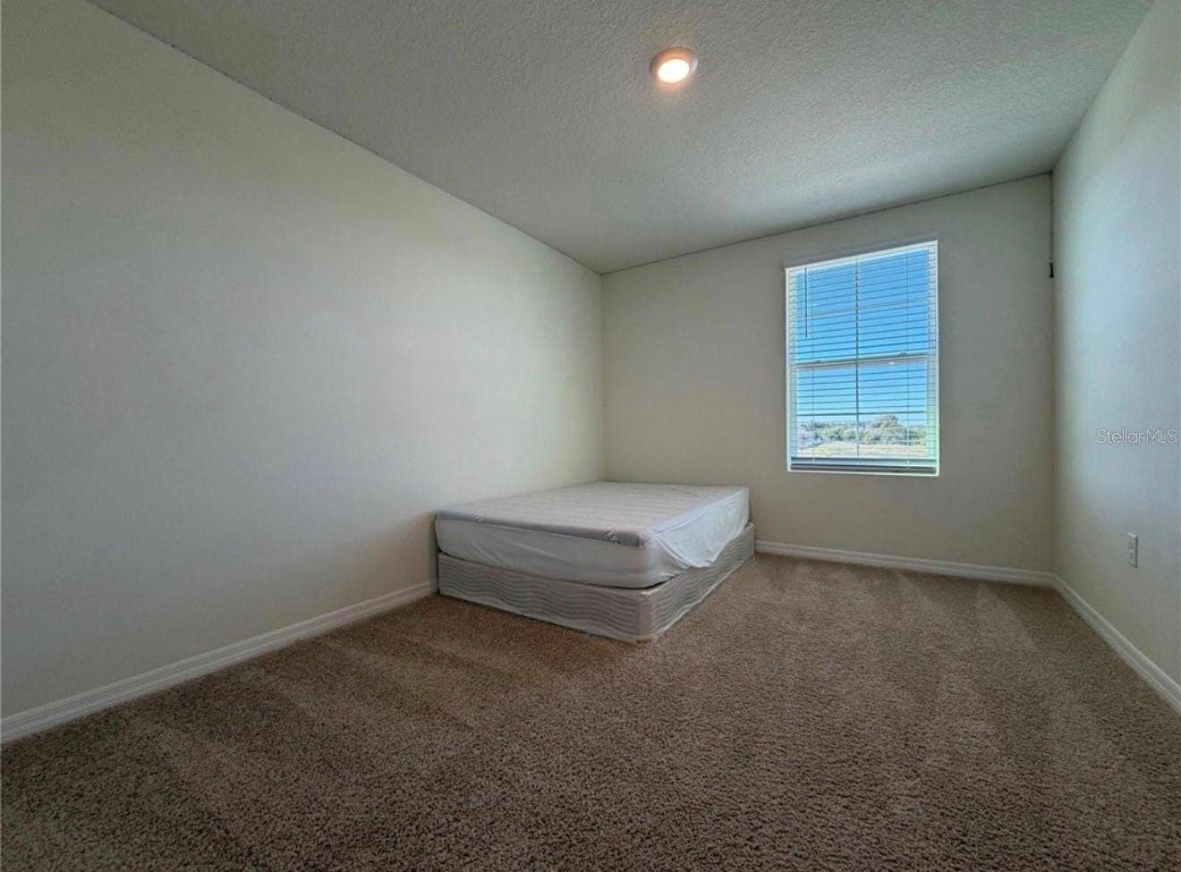12072 DOWNY BIRCH DRIVE, Riverview, FL 33569 12072 DOWNY BIRCH DRIVE, Riverview, FL 33569