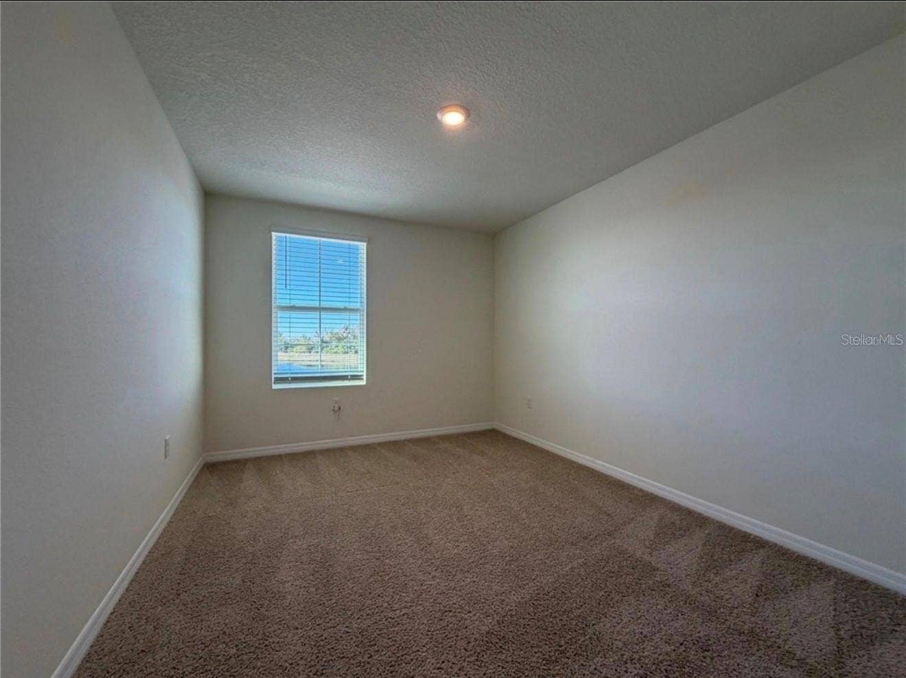 12072 DOWNY BIRCH DRIVE, Riverview, FL 33569 12072 DOWNY BIRCH DRIVE, Riverview, FL 33569