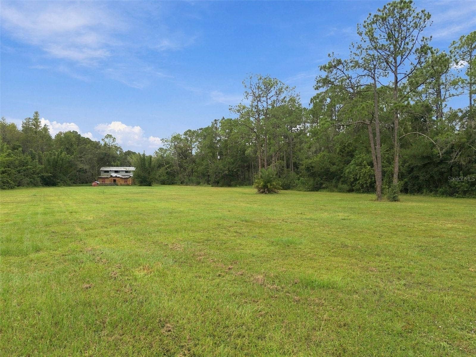 19135 N DALE MABRY HIGHWAY, Lutz, FL 33548