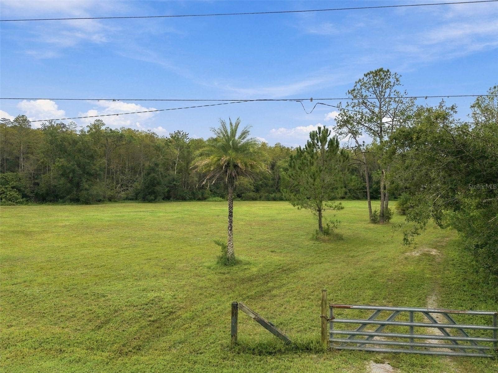 19135 N DALE MABRY HIGHWAY, Lutz, FL 33548