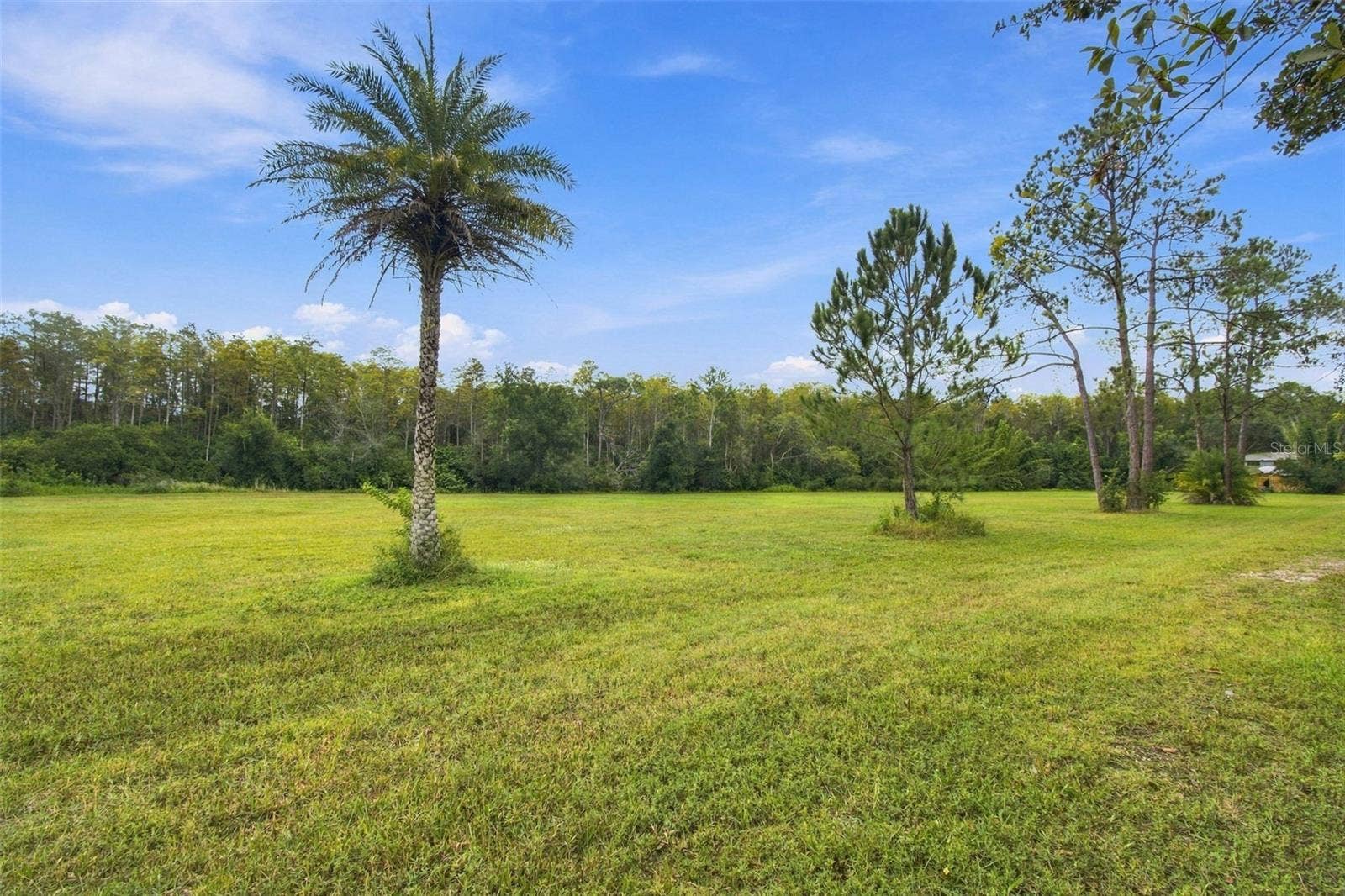 19135 N DALE MABRY HIGHWAY, Lutz, FL 33548