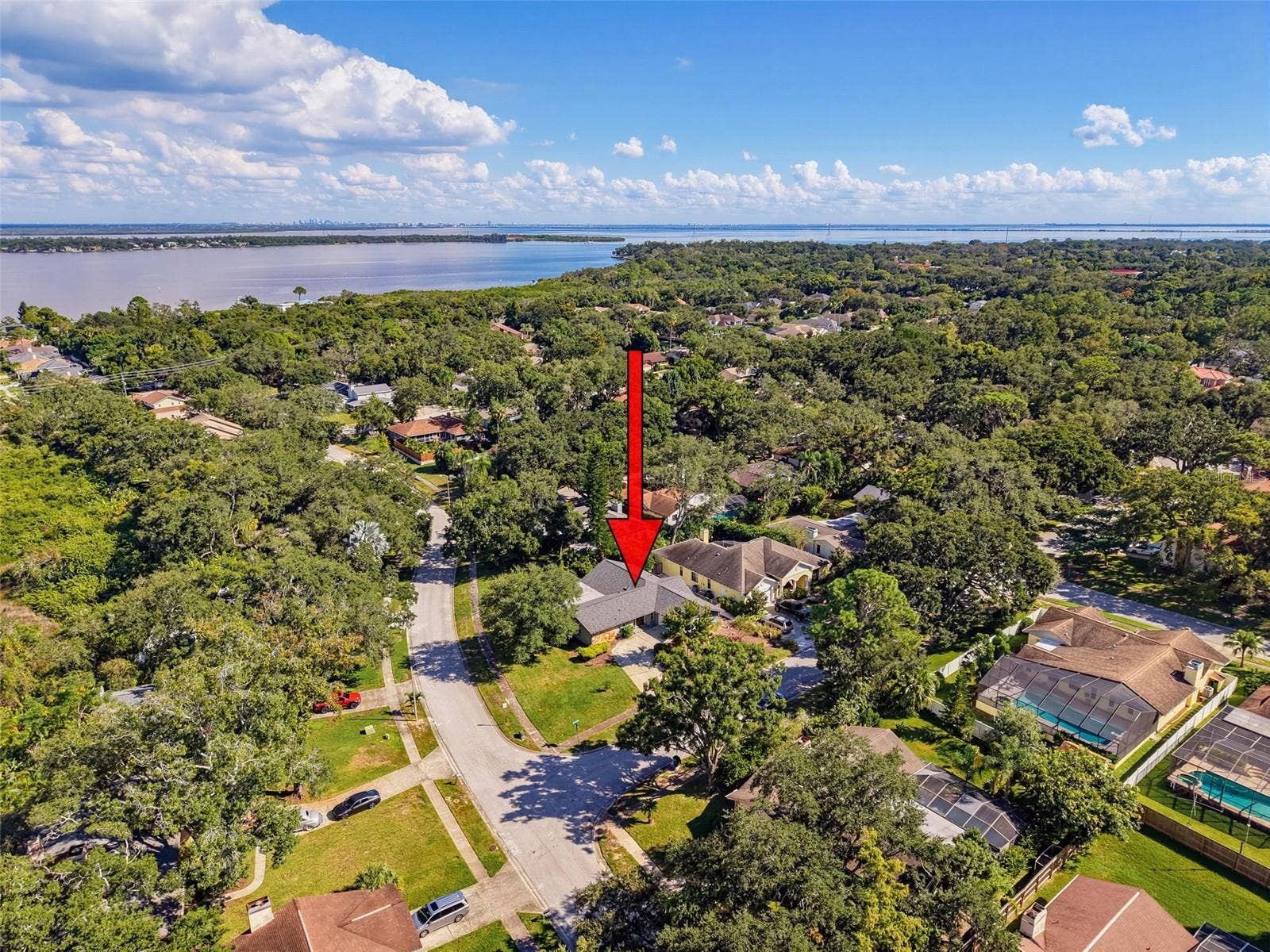 3 SUMMIT LANE, Safety Harbor, FL 34695