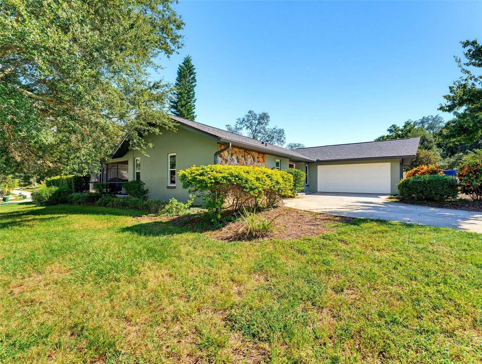 Side yard