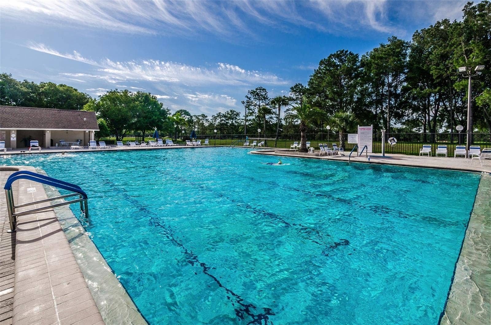 1529 E DORCHESTER DRIVE, Palm Harbor, FL 34684