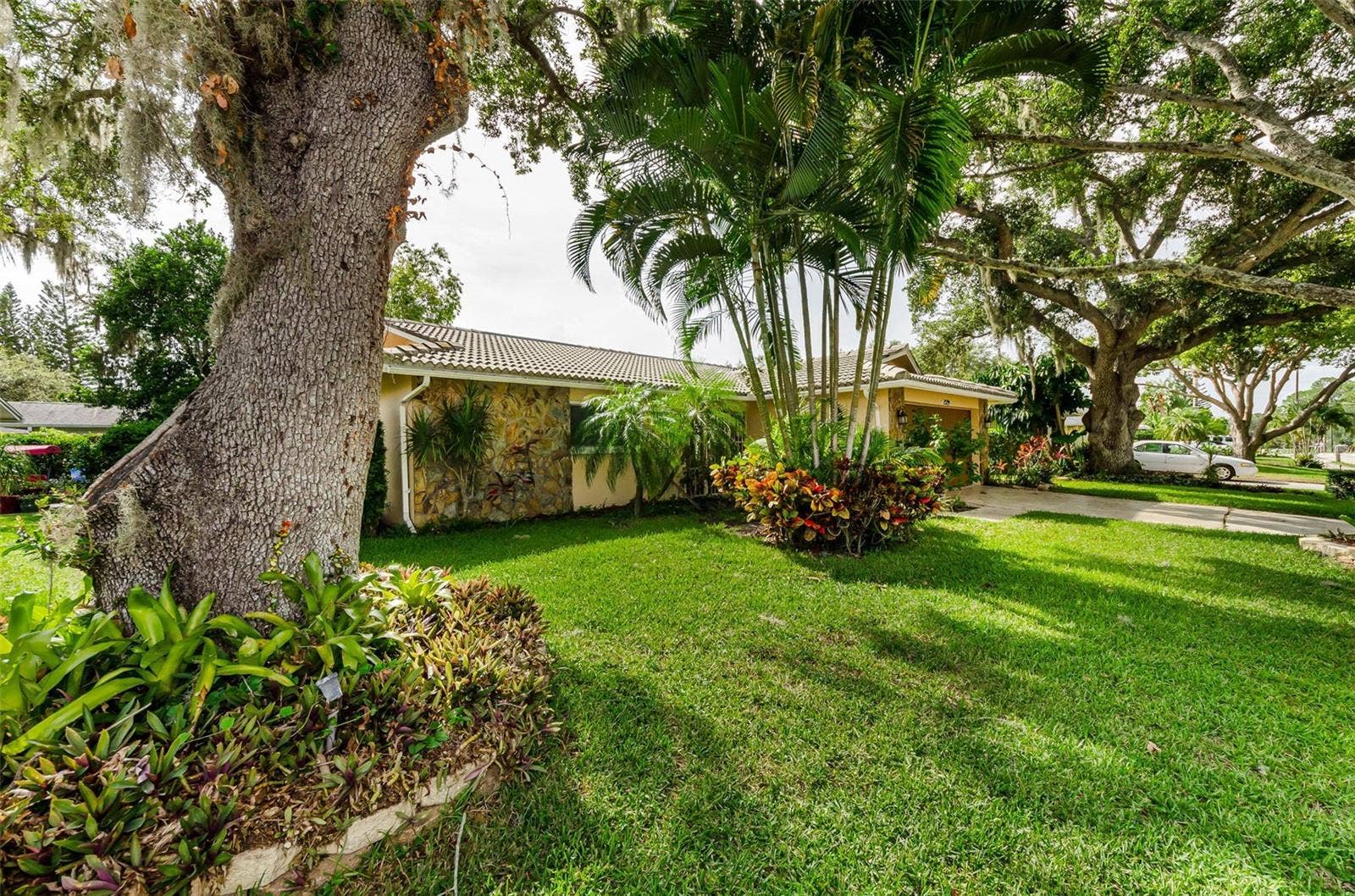 1529 E DORCHESTER DRIVE, Palm Harbor, FL 34684