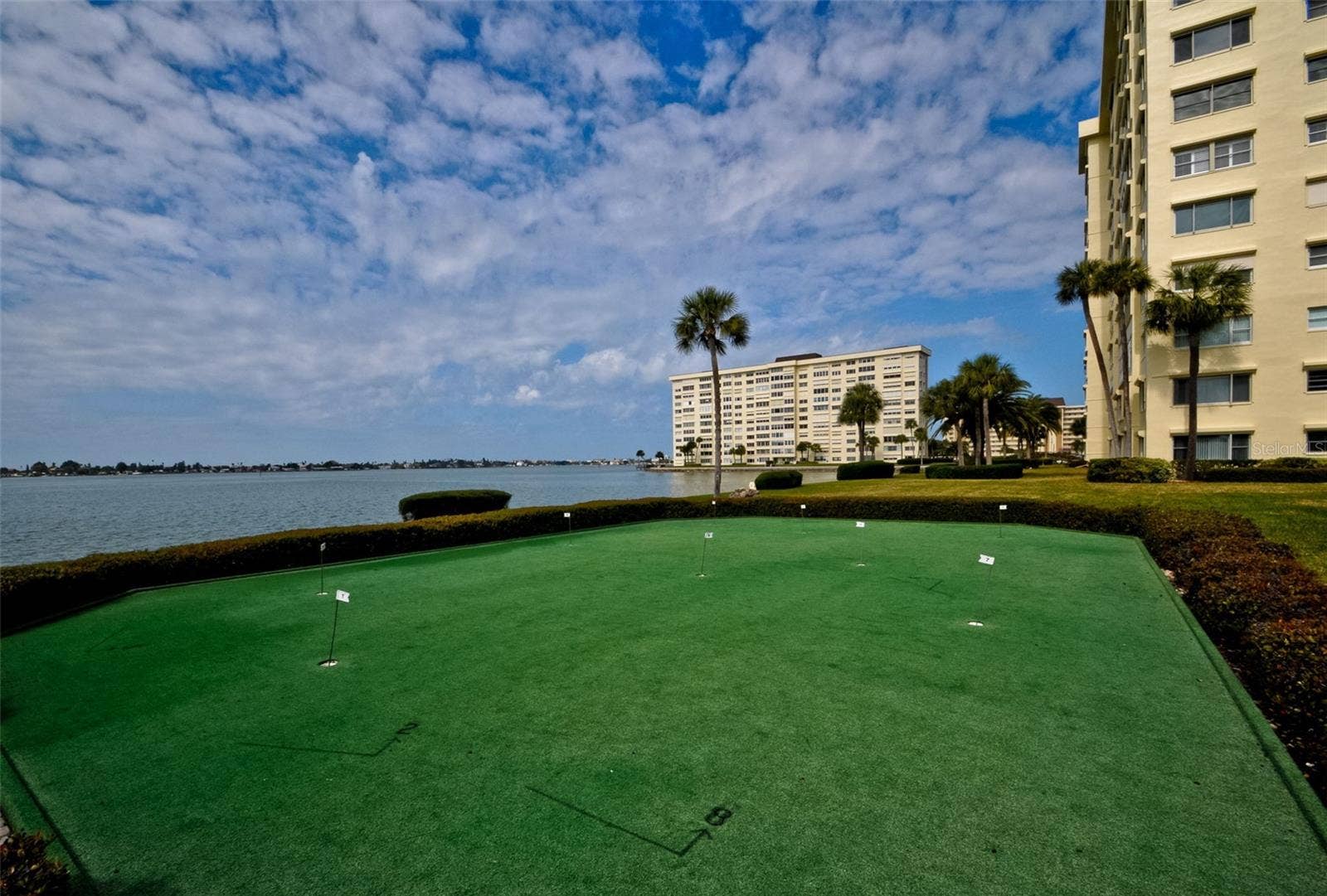 4775 COVE CIRCLE, #904, St Petersburg, FL 33708 Putting green