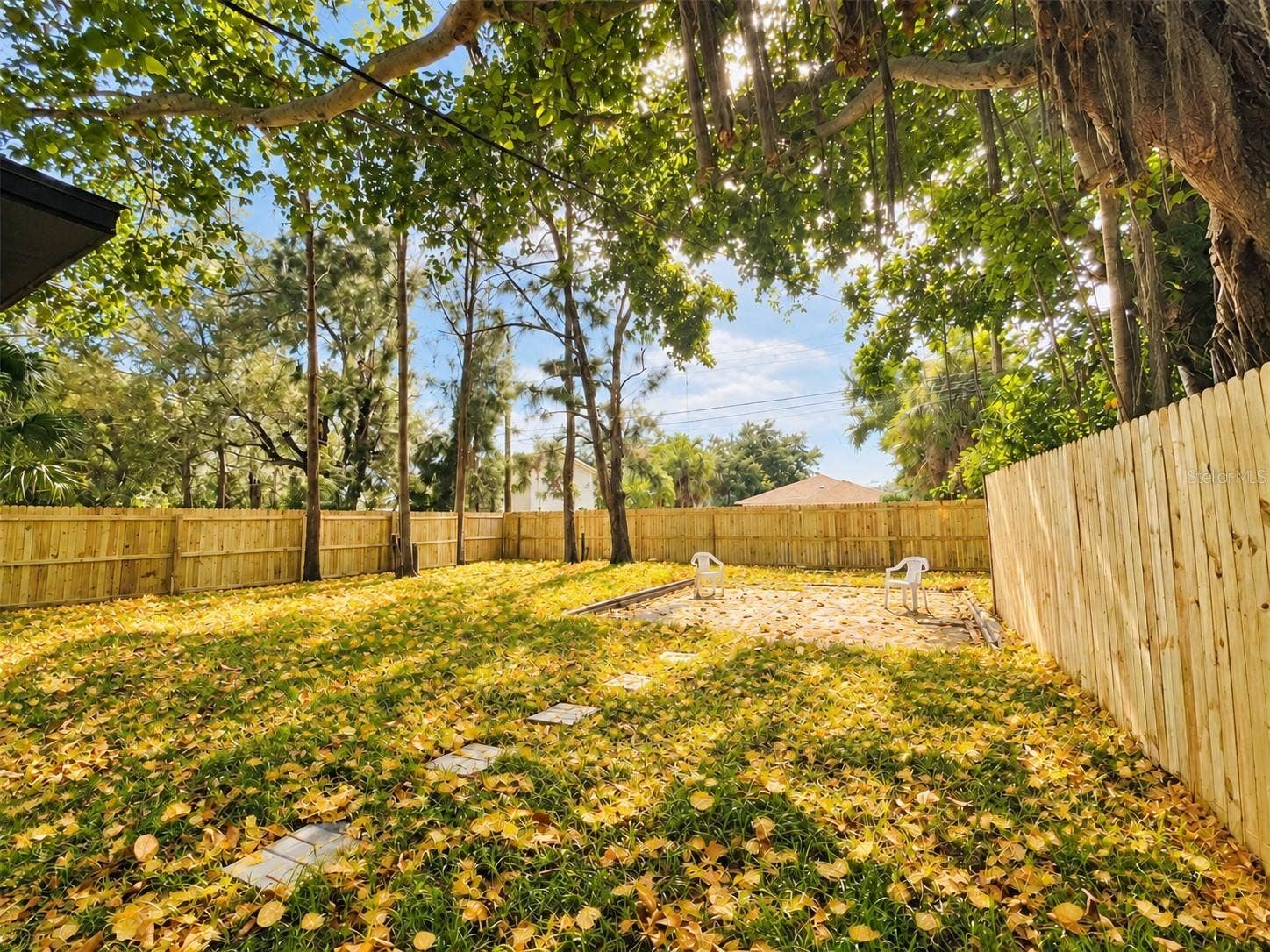 Backyard