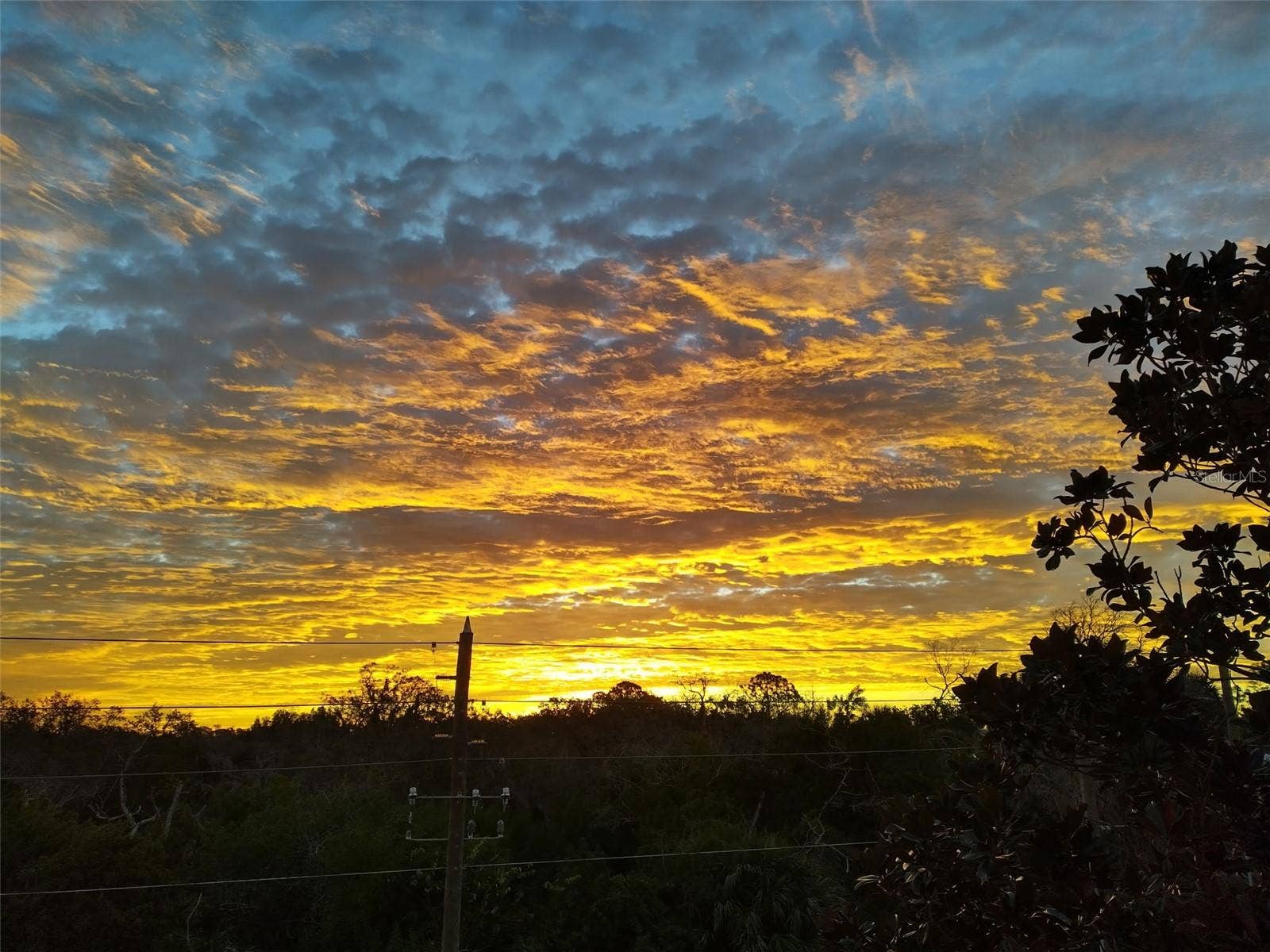 6522 SAND SHORE LANE, New Port Richey, FL 34652 Sunsets are free at Robert K Rees Park