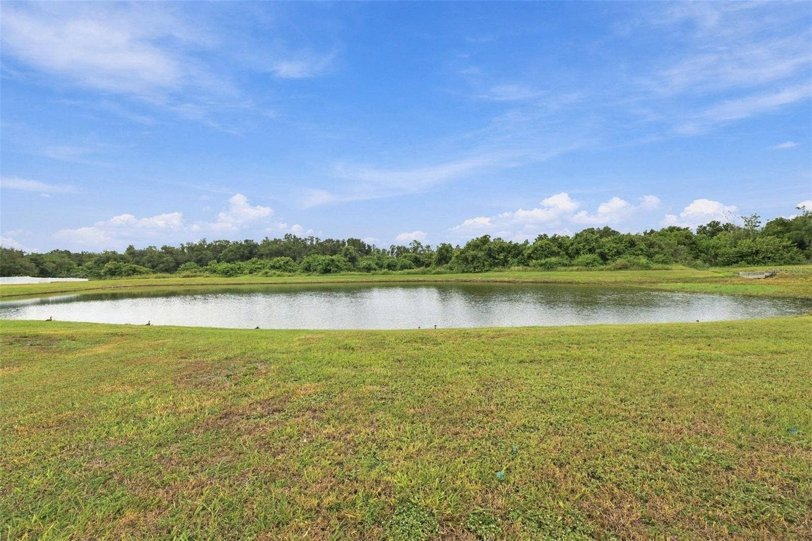 10915 AUSTRALIAN PINE DRIVE, Riverview, FL 33579 10915 AUSTRALIAN PINE DRIVE, Riverview, FL 33579