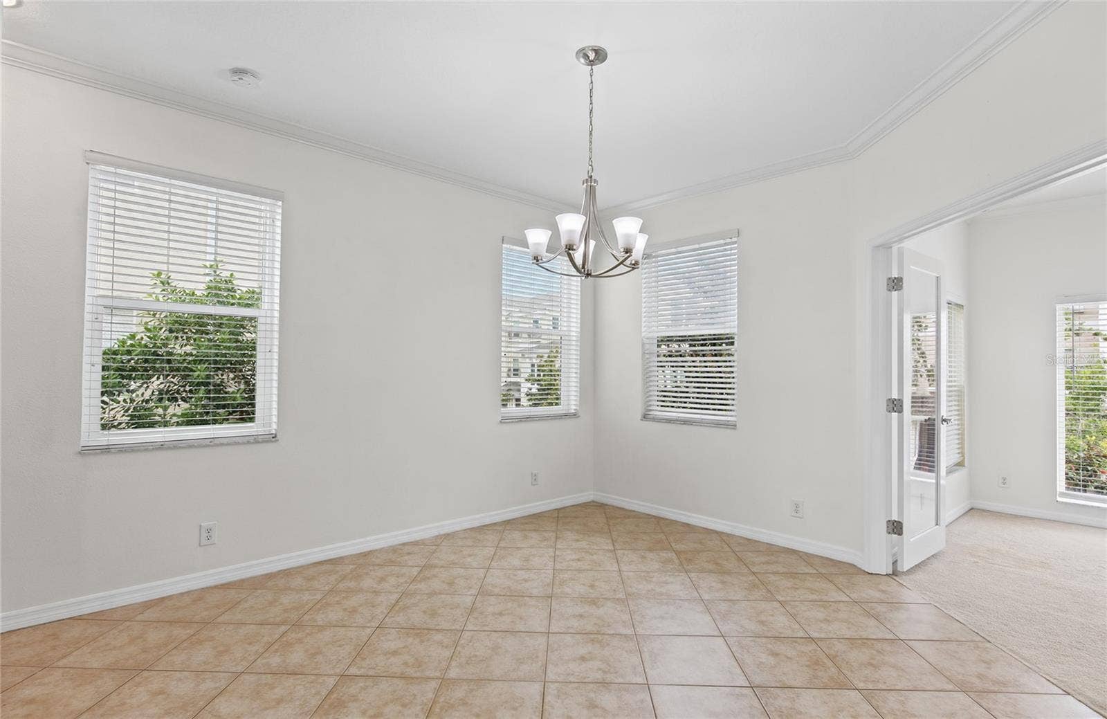 1146 VENETIAN HARBOR DRIVE NE, St Petersburg, FL 33702 fresh paint