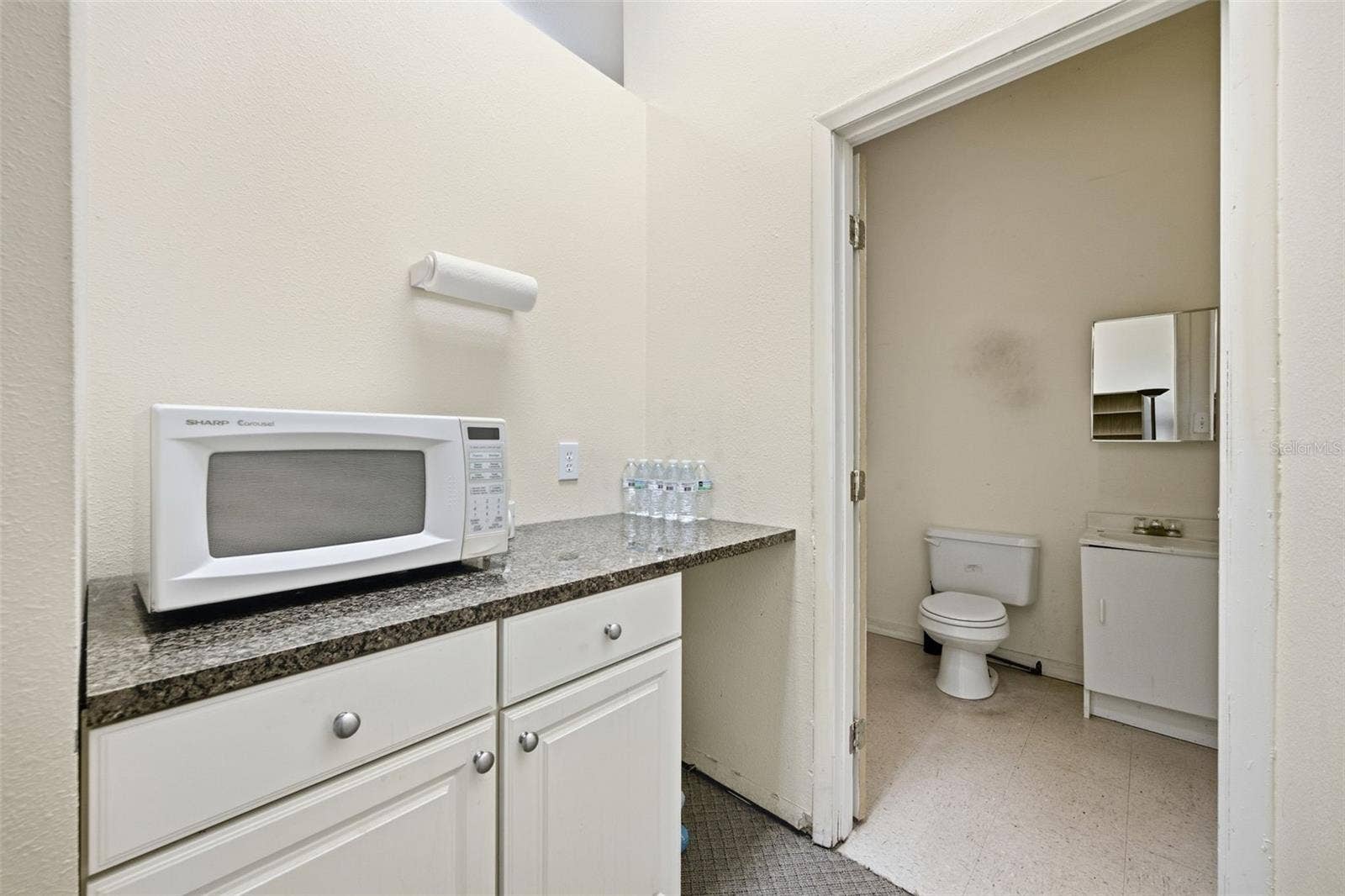 17501 LAKESHORE ROAD, Lutz, FL 33558 17501 LAKESHORE ROAD, Lutz, FL 33558