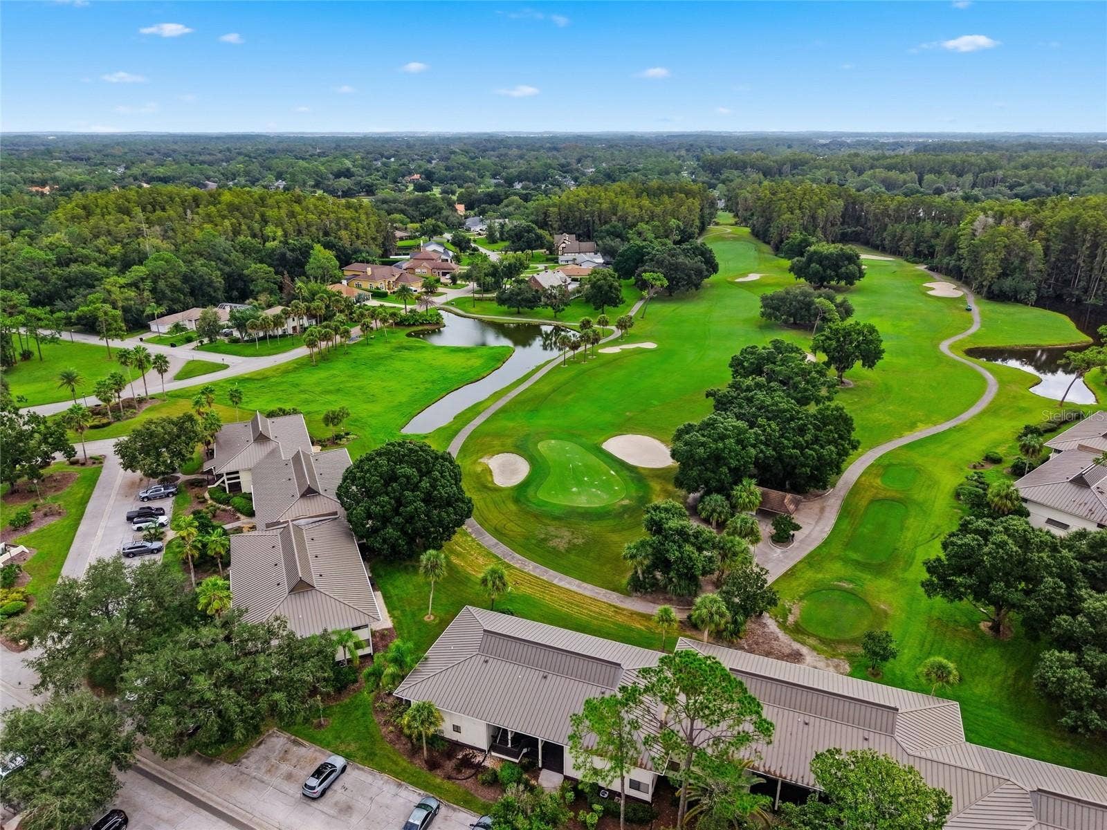 5020 MILL POND ROAD, #3172, Wesley Chapel, FL 33543