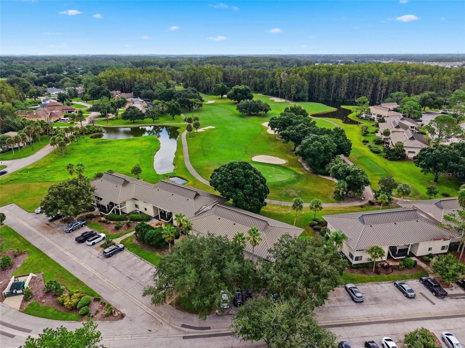 5020 MILL POND ROAD, #3172, Wesley Chapel, FL 33543
