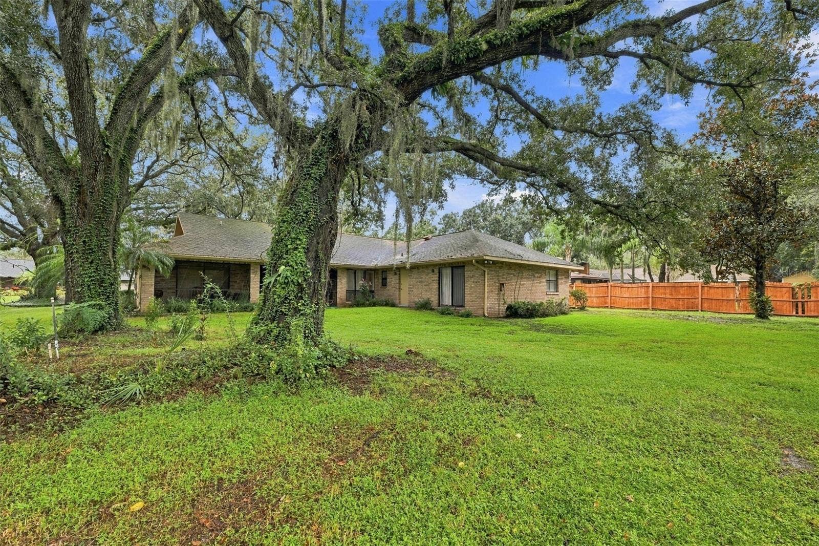 2609 MANOR OAK DRIVE, Valrico, FL 33596 Backyard