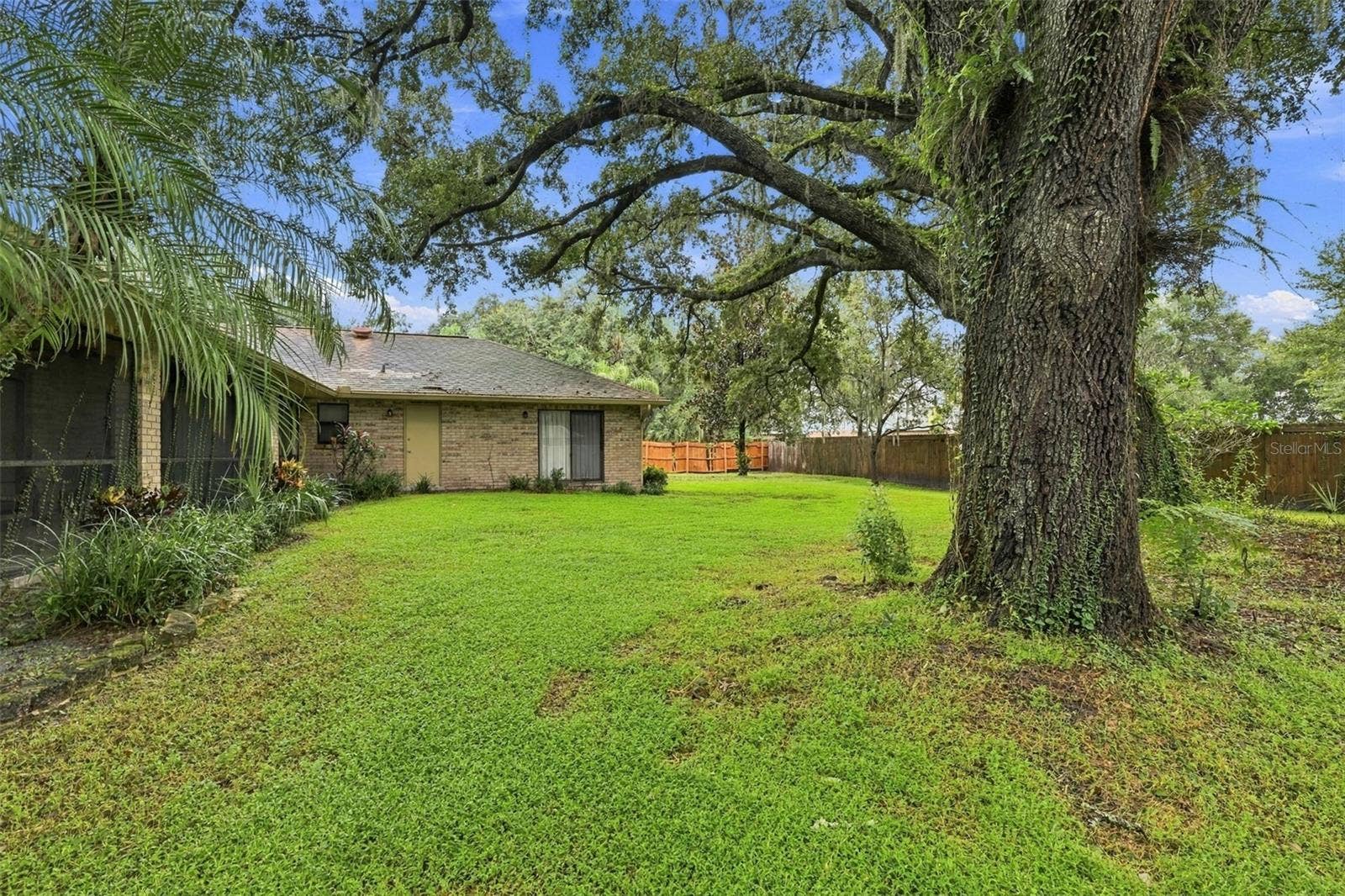 2609 MANOR OAK DRIVE, Valrico, FL 33596 Backyard