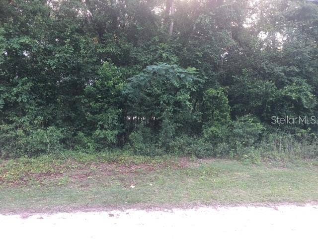 170 NE 169TH AVENUE, Silver Springs, FL 34488 170 NE 169TH AVENUE, Silver Springs, FL 34488