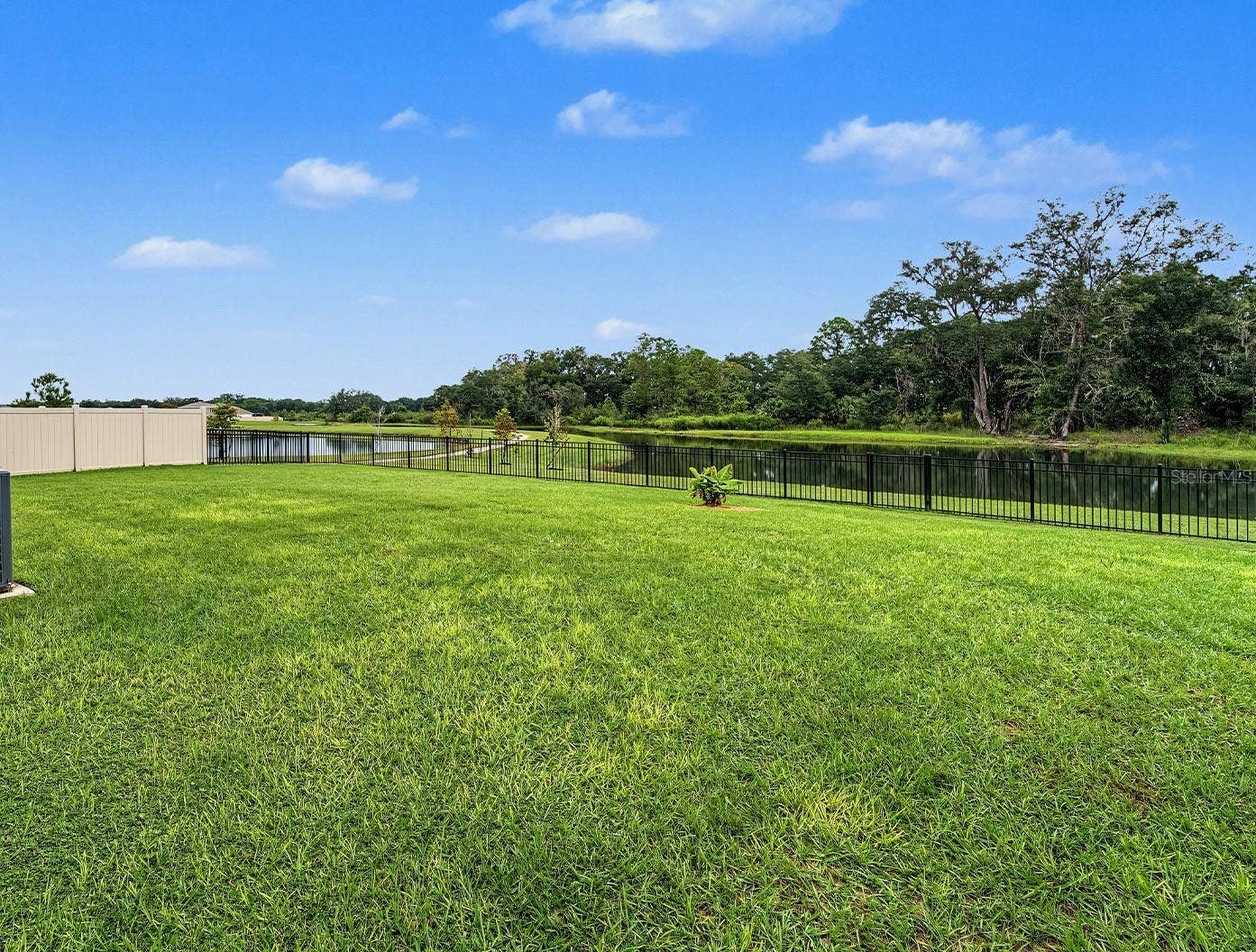 36013 ELLSWORTH PLACE, Zephyrhills, FL 33541 36013 ELLSWORTH PLACE, Zephyrhills, FL 33541