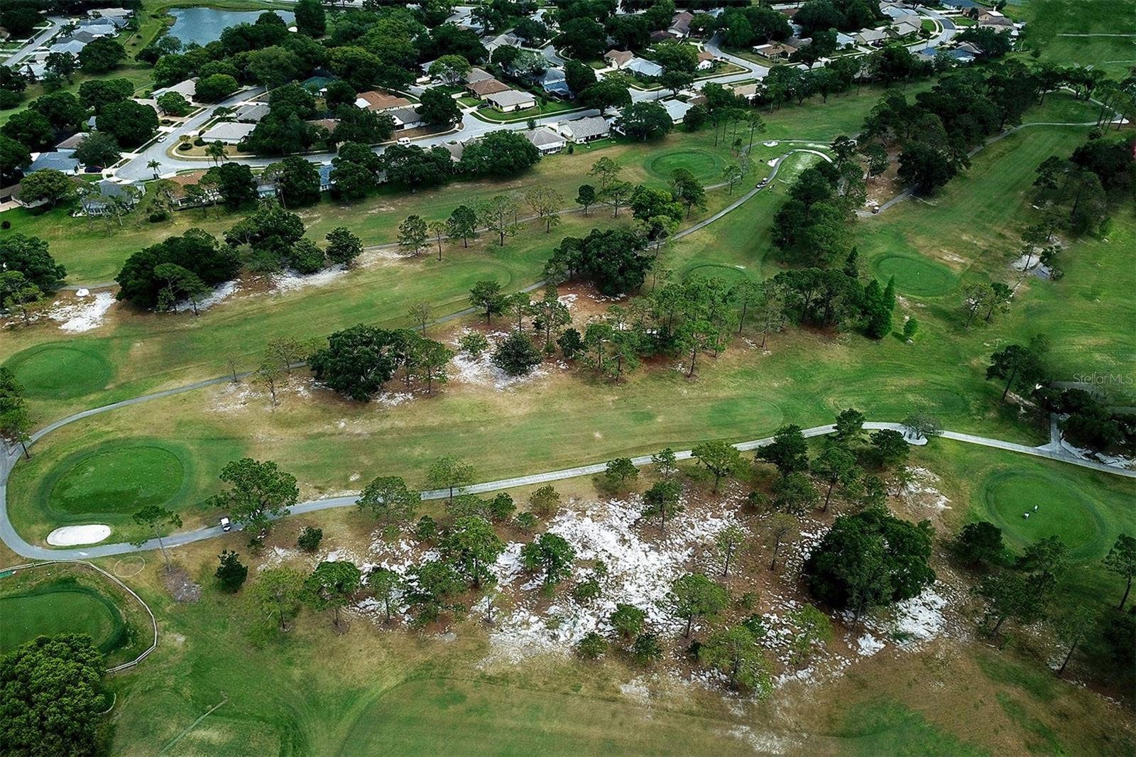 View down one of the fairways
