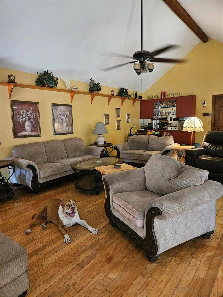 22335 SOUTHSHORE DRIVE, Land O Lakes, FL 34639 22335 SOUTHSHORE DRIVE, Land O Lakes, FL 34639