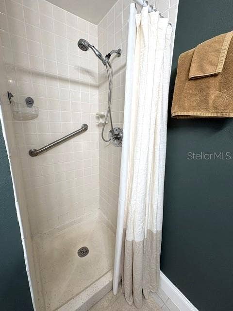 2202 CLUBHOUSE DRIVE, #173, Sun City Center, FL 33573 Primary shower.