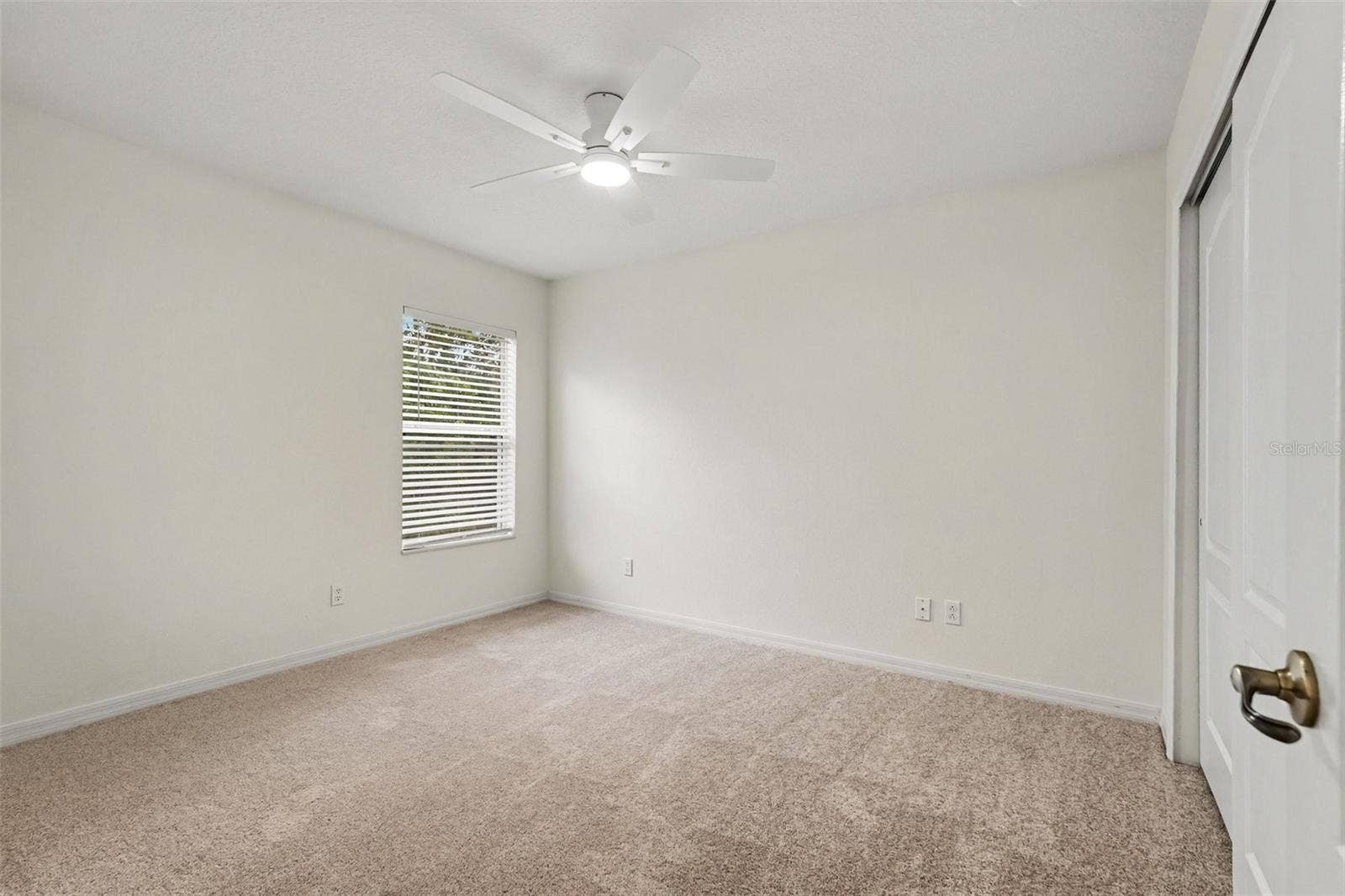 17511 GLENAPP DR, Land O Lakes, FL 34638