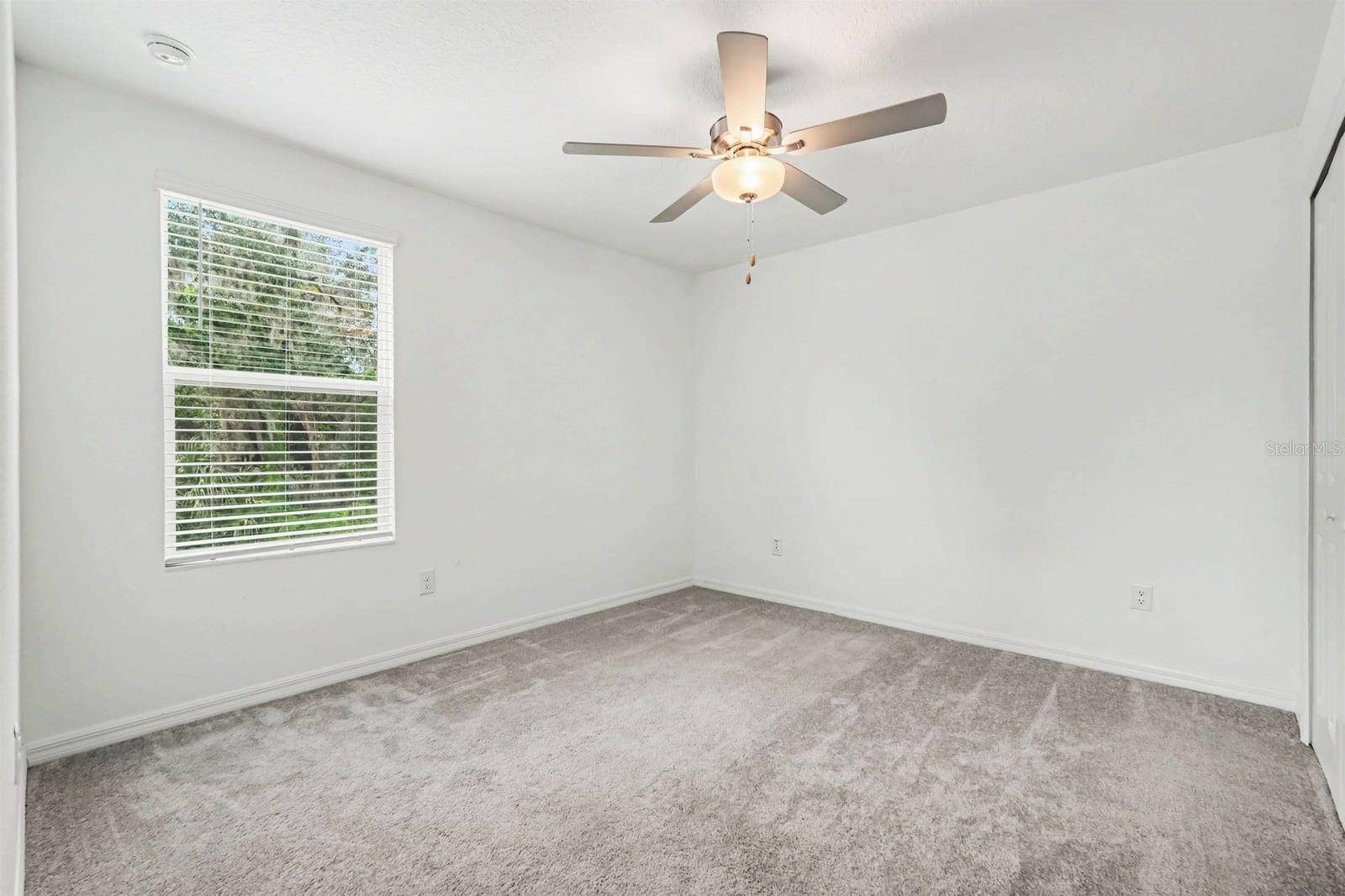 6259 BACK FORTY LOOP, Zephyrhills, FL 33541