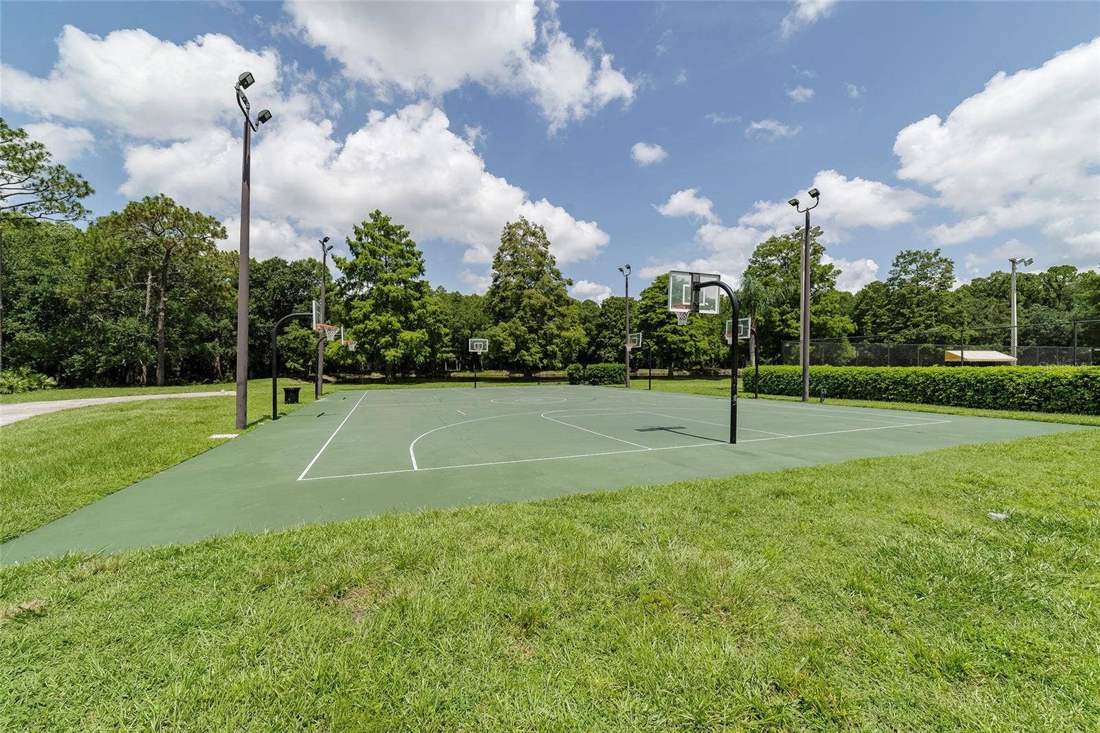 3430 HILLMOOR DRIVE, Palm Harbor, FL 34685 3430 HILLMOOR DRIVE, Palm Harbor, FL 34685