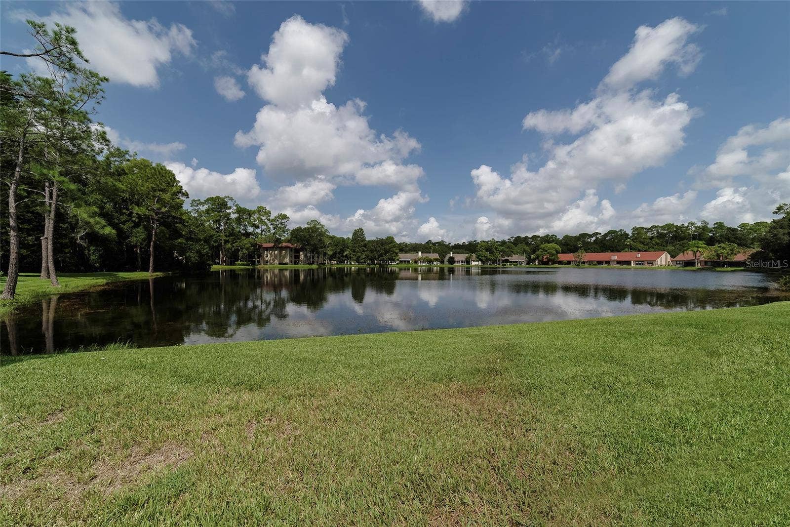 3430 HILLMOOR DRIVE, Palm Harbor, FL 34685 3430 HILLMOOR DRIVE, Palm Harbor, FL 34685