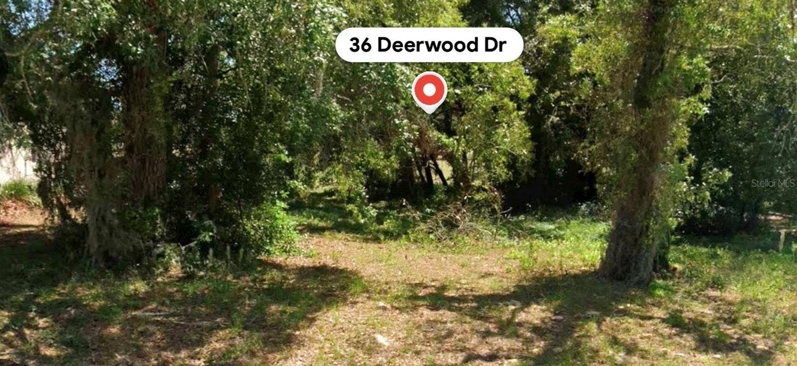 36 DEERWOOD DRIVE, Homosassa, FL 34446