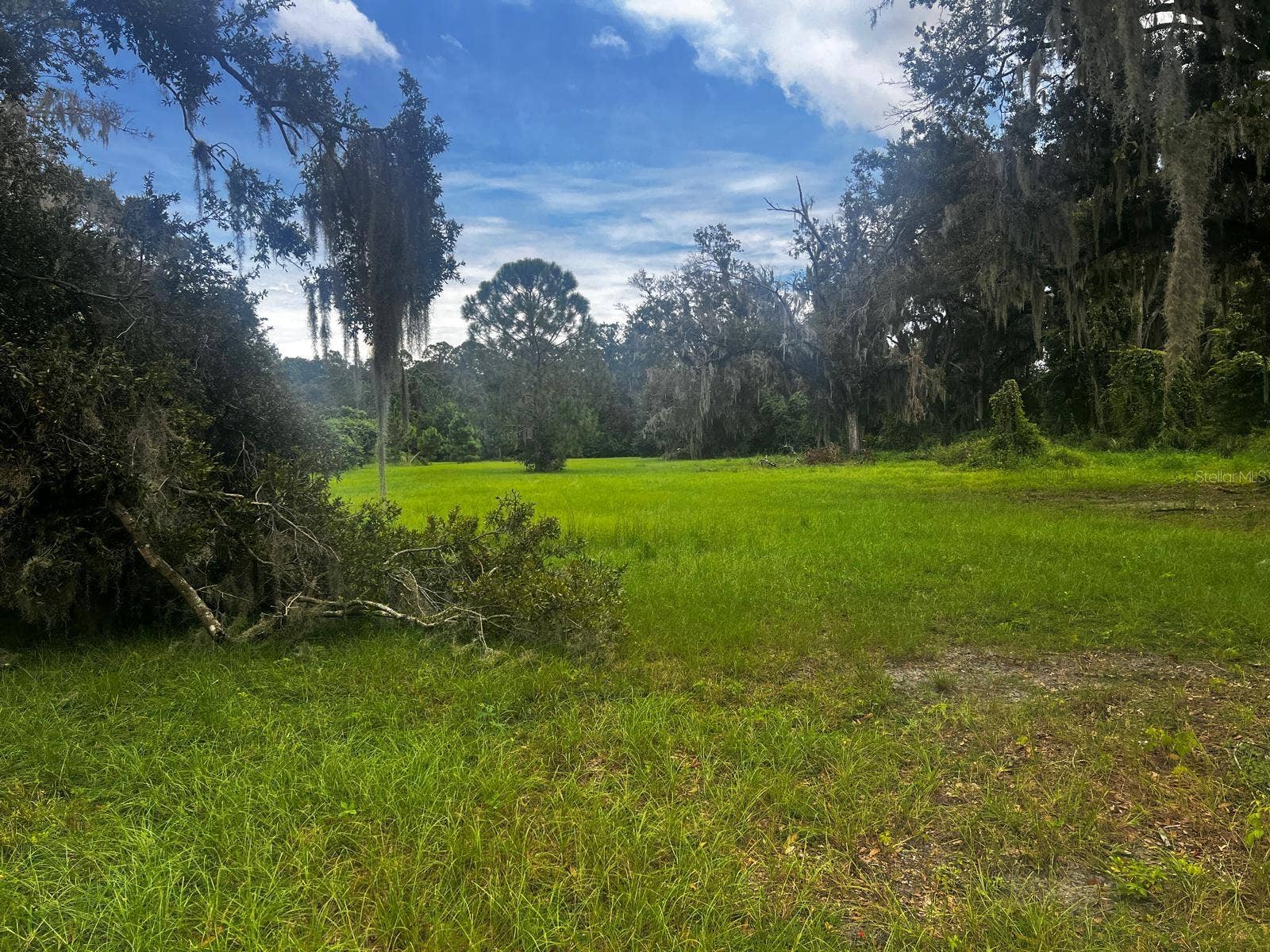 1308 N SHANNON AVENUE, Plant City, FL 33563