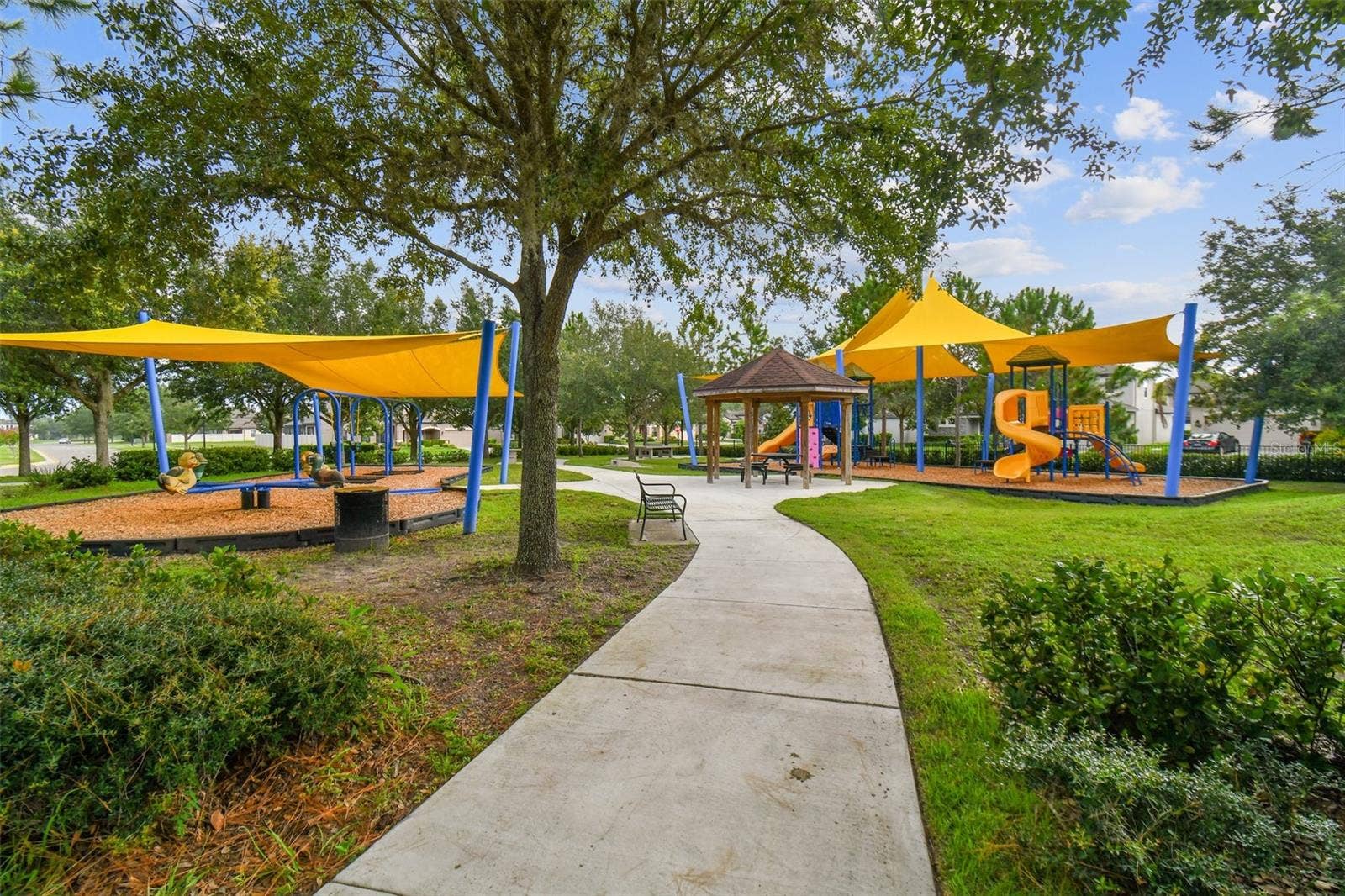 9653 ASHWORTH PLACE, Land O Lakes, FL 34637