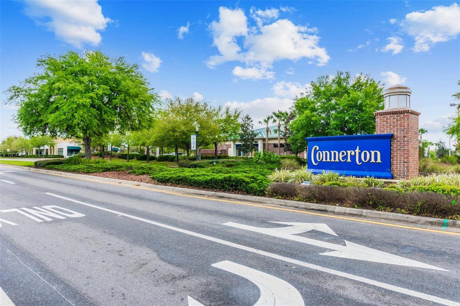 9653 ASHWORTH PLACE, Land O Lakes, FL 34637