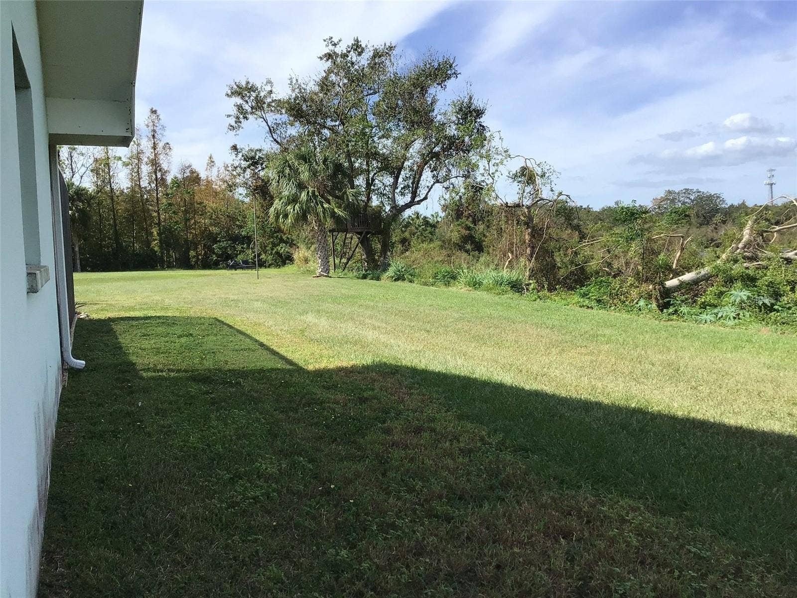 1304 ALAMEDA AVENUE, Clearwater, FL 33759 1304 ALAMEDA AVENUE, Clearwater, FL 33759