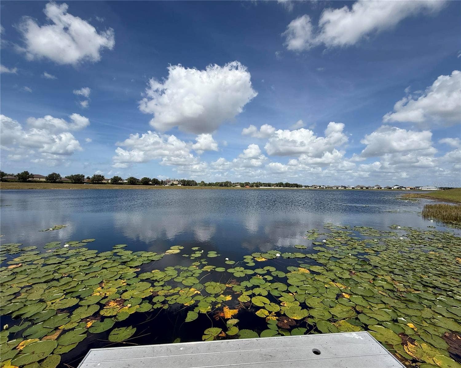 11412 FRESHWATER RIDGE DRIVE, Riverview, FL 33569 11412 FRESHWATER RIDGE DRIVE, Riverview, FL 33569