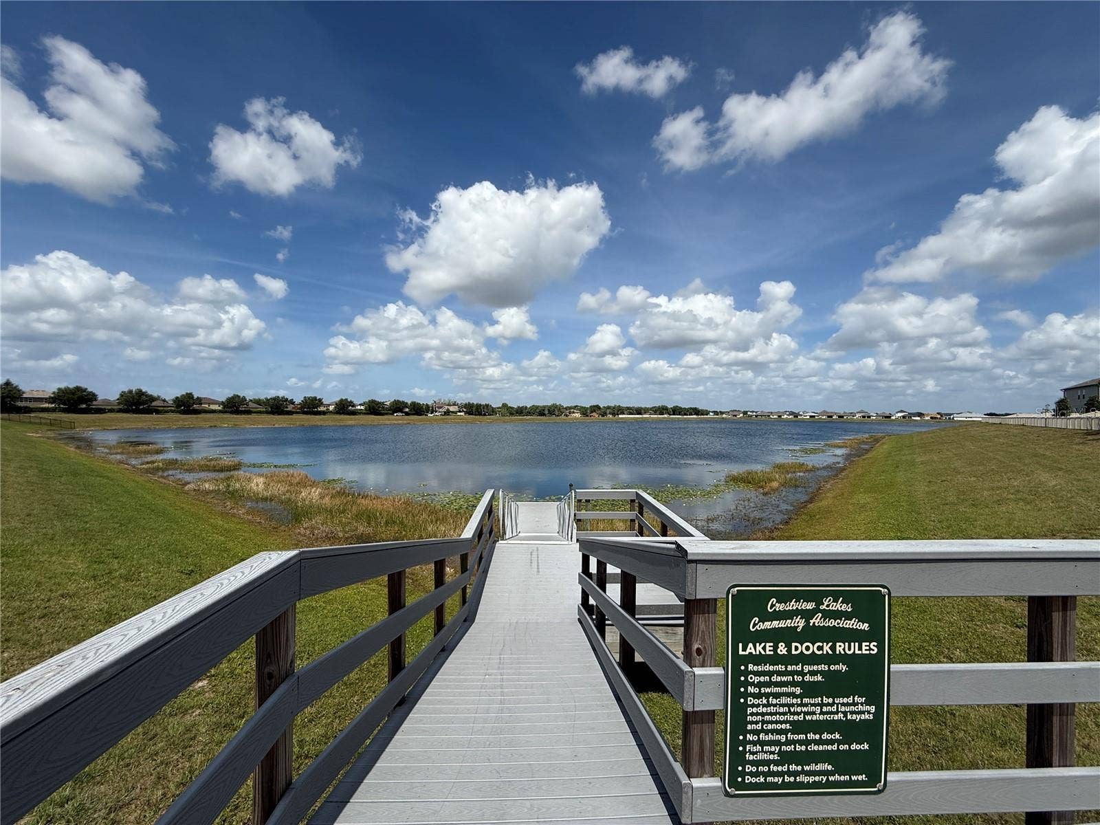 11412 FRESHWATER RIDGE DRIVE, Riverview, FL 33569 11412 FRESHWATER RIDGE DRIVE, Riverview, FL 33569