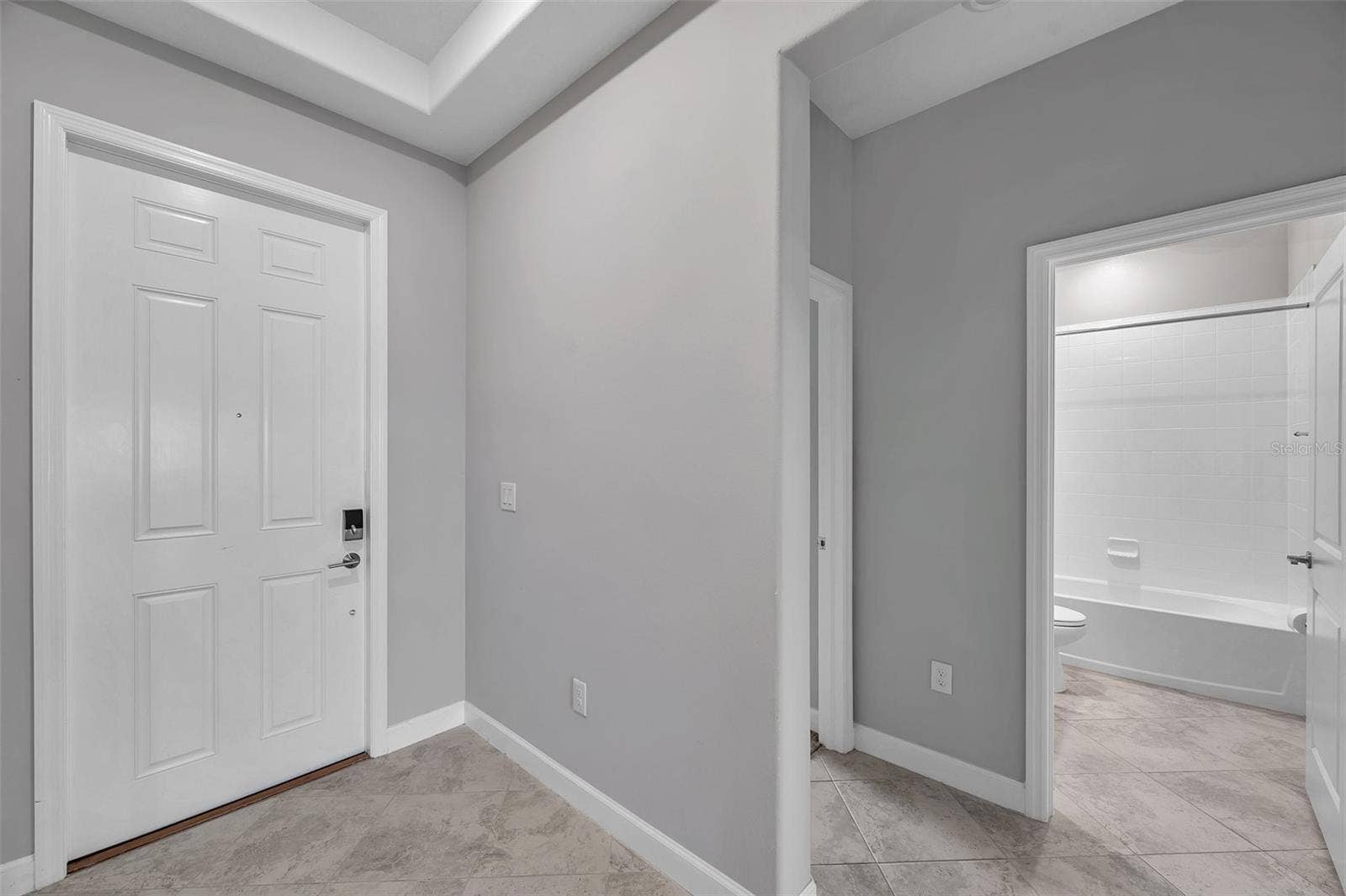 11412 FRESHWATER RIDGE DRIVE, Riverview, FL 33569 entry way