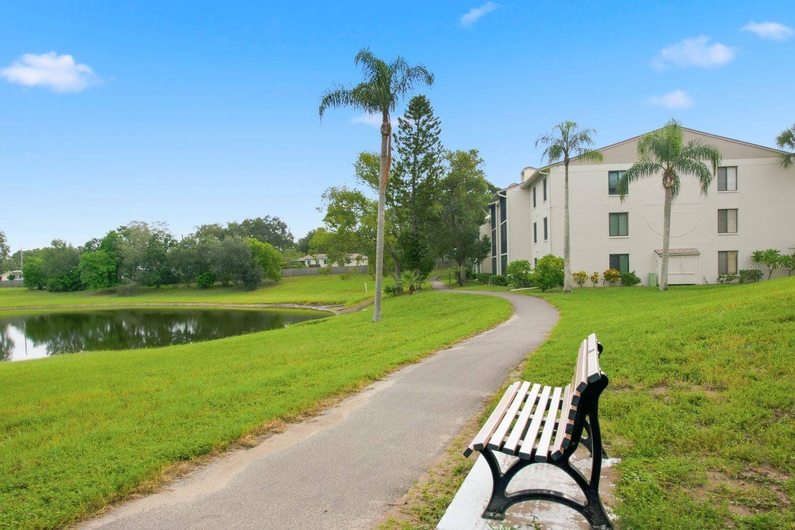 1871 PINE RIDGE WAY W, #E1, Palm Harbor, FL 34684 1871 PINE RIDGE WAY W, #E1, Palm Harbor, FL 34684