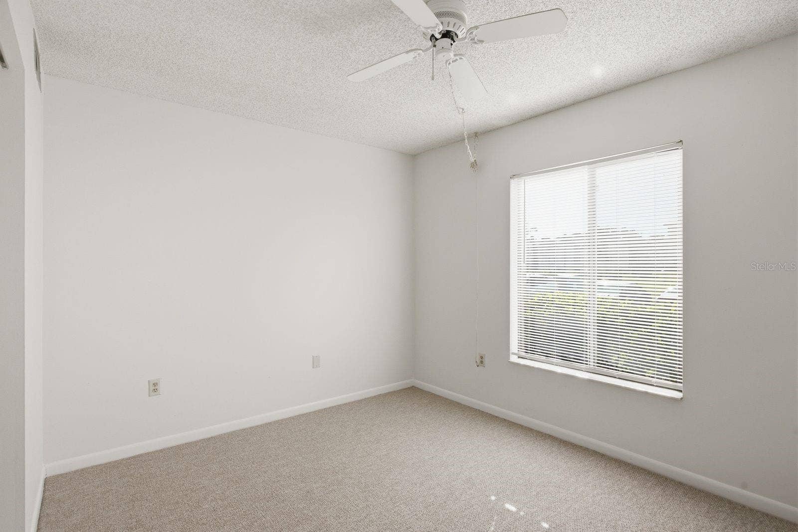 1871 PINE RIDGE WAY W, #E1, Palm Harbor, FL 34684 1871 PINE RIDGE WAY W, #E1, Palm Harbor, FL 34684