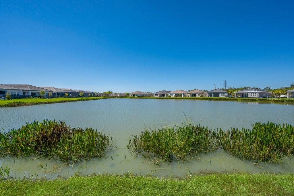 32643 NEROLI STREET, Wesley Chapel, FL 33543
