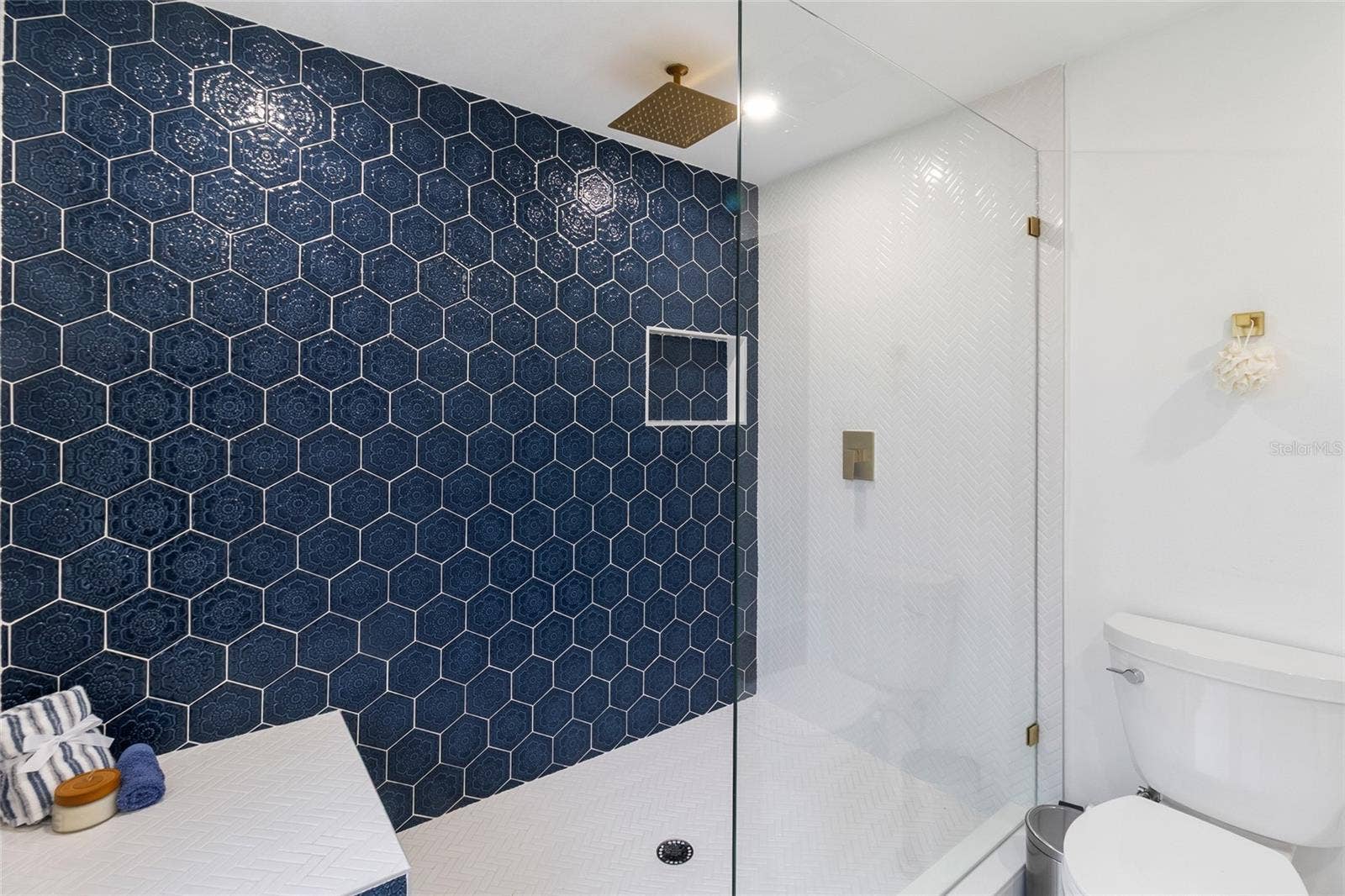 2243 HIGHLAND STREET S, St Petersburg, FL 33705 Rain shower head!