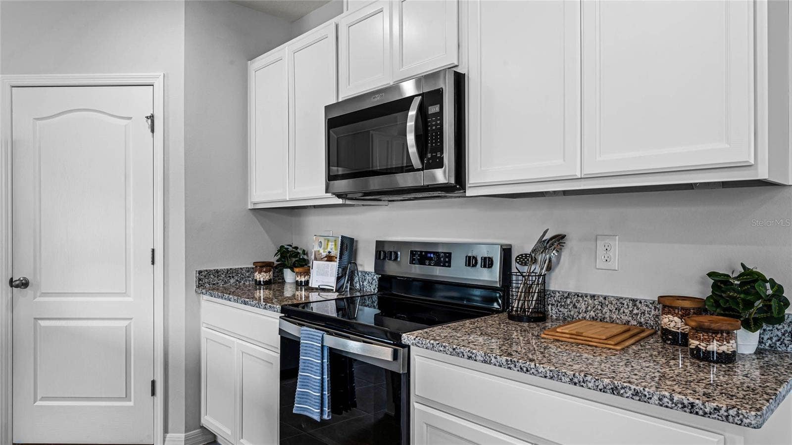 9777 BRAVE BUCK AVENUE, Land O Lakes, FL 34638
