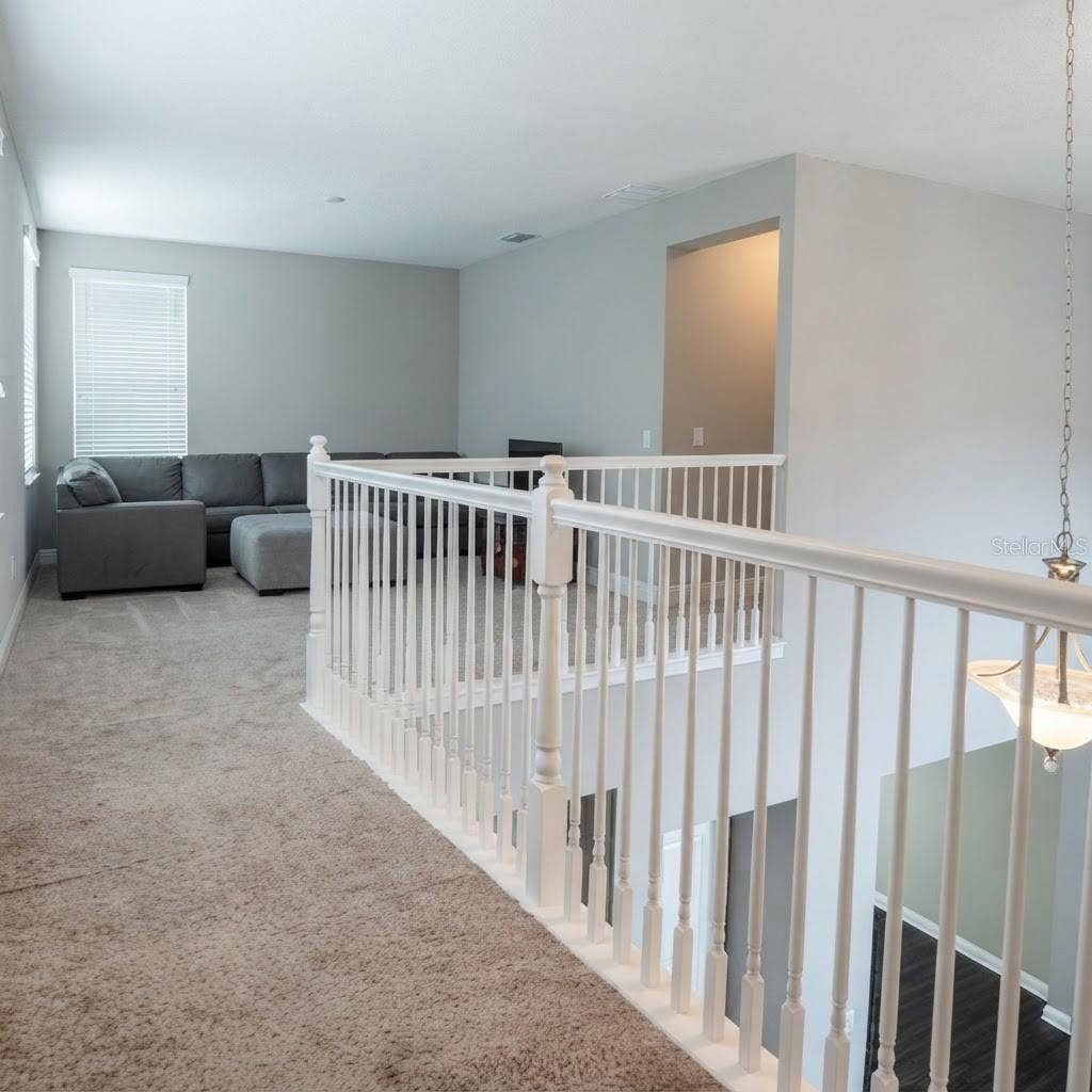 31261 CHESAPEAKE BAY DRIVE, Wesley Chapel, FL 33543 31261 CHESAPEAKE BAY DRIVE, Wesley Chapel, FL 33543