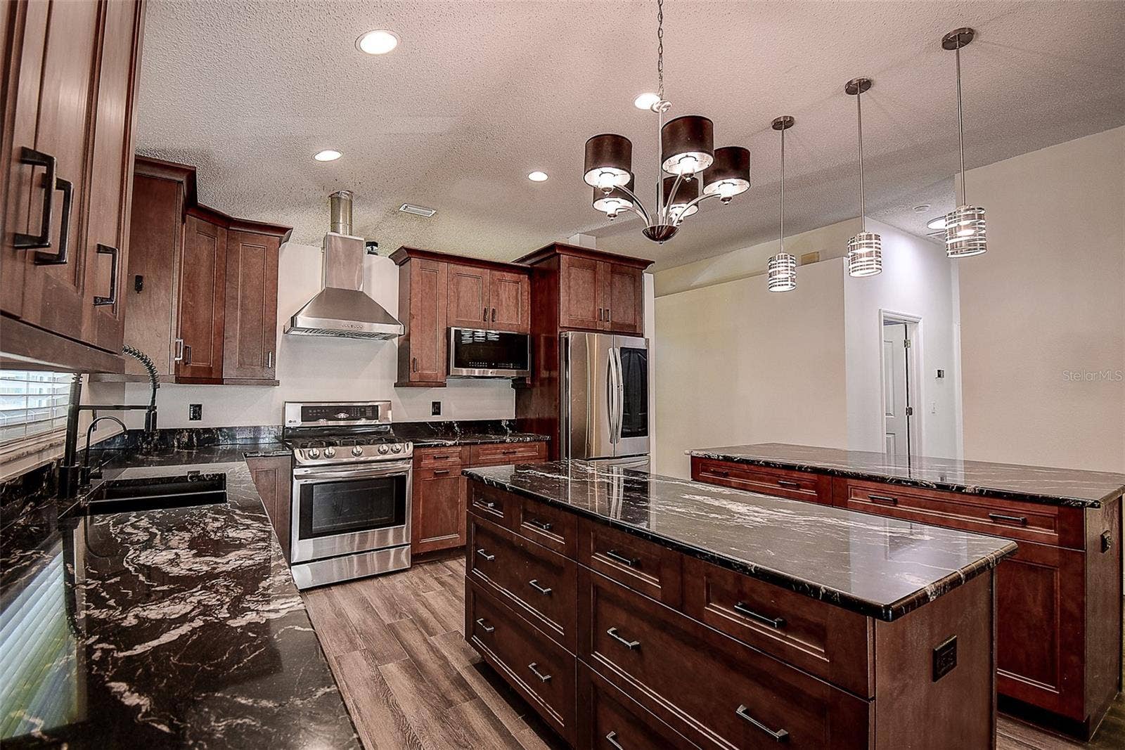1709 SCOTCH PINE DRIVE, Brandon, FL 33511 Gorgeous granite countertops throughout