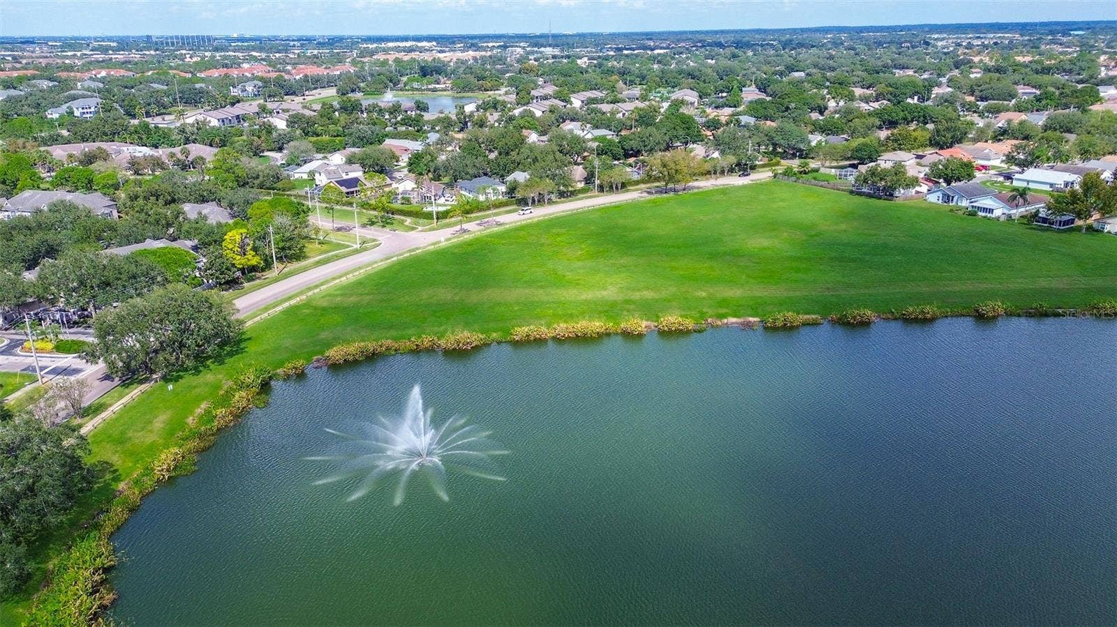 1709 SCOTCH PINE DRIVE, Brandon, FL 33511 Pond and park area behind house