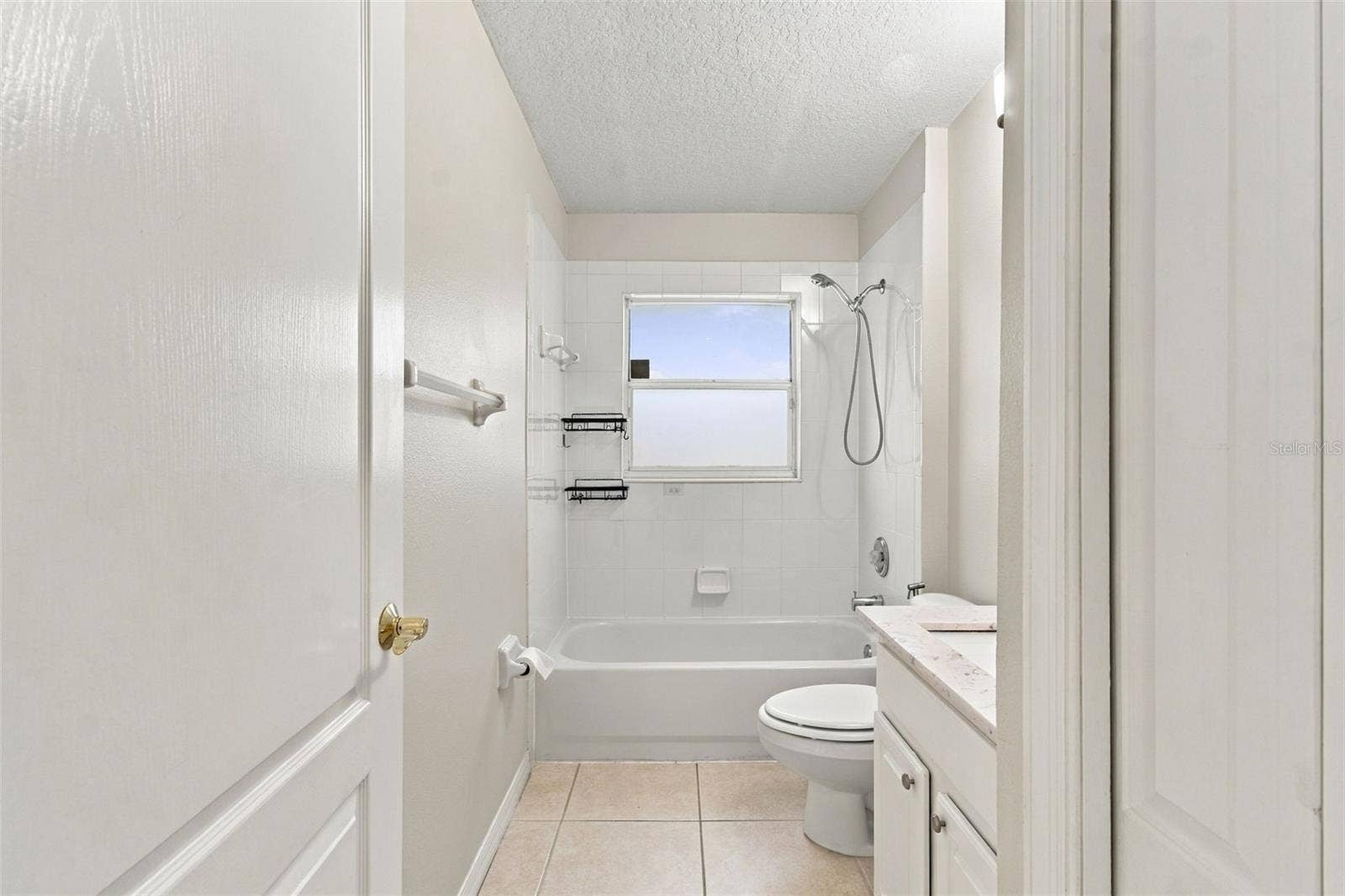 16207 ASHLEY PARK PLACE, Tampa, FL 33647