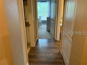 18136 VILLA CREEK DRIVE, #18136, Tampa, FL 33647
